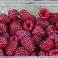 Саженец Малина Марабелла в контейнере